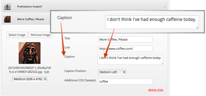 slide-edit-caption