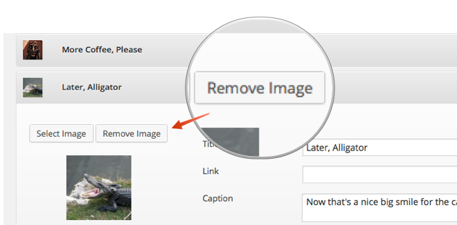slideshow-remove-image