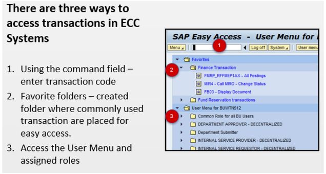 FI.Newsletter-Volume4-TCodeAccess
