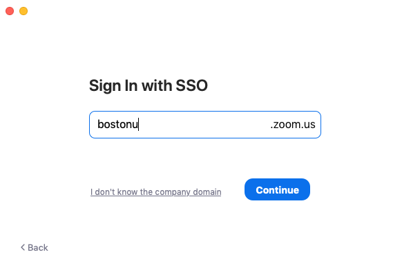 Zoom company domain bostonu