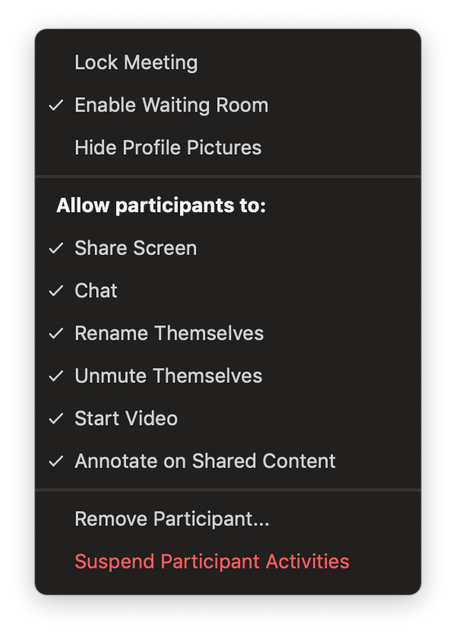 Screenshot of in-meeting security menu