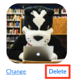 Zoom profile screen highlighting the Delete profile picture button