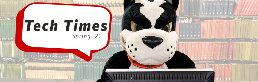 Boston Terrier mascot Rhett sitting at a computer, with a speech bubble to his right reading Tech Times Spring '21