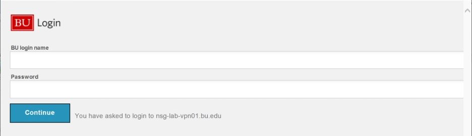 Using the VPN : TechWeb : Boston University