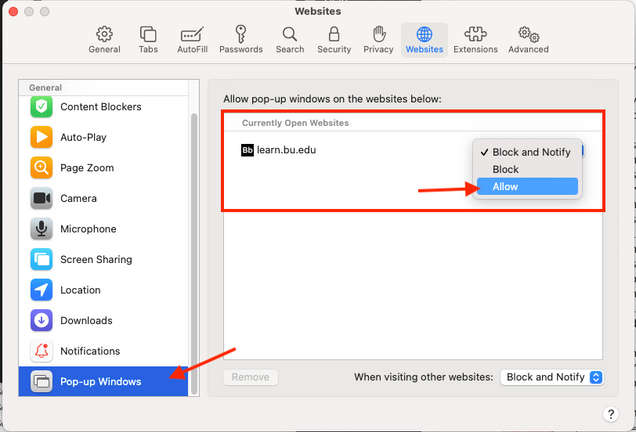 Allowing pop-ups dialog box in Safari