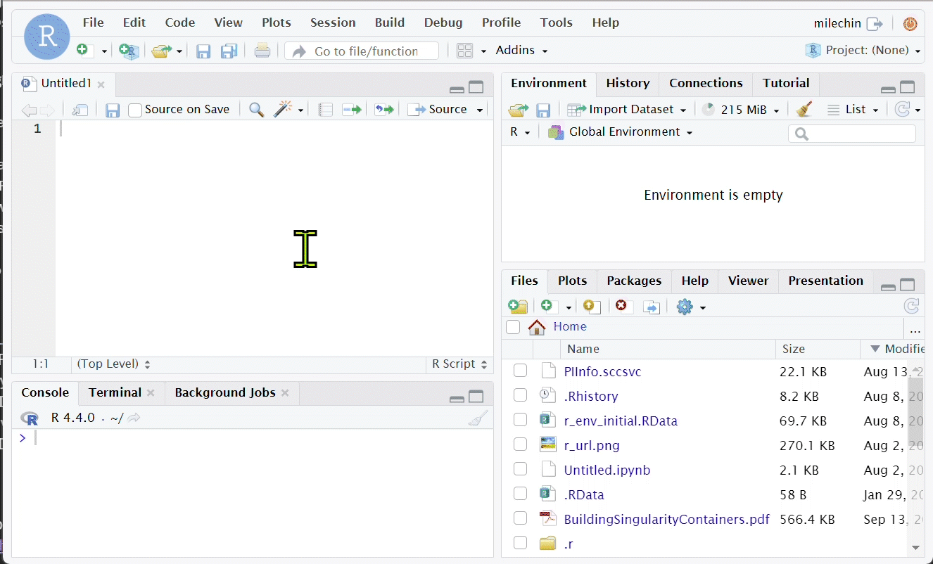 An animated GIF showing RStudio Server window. A mouse moves to the "packages" tab and clicks on it. The window shows a list of R packages already installed and ready for use in R.