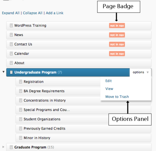 screenshot of selected page in interface with options and badges noted