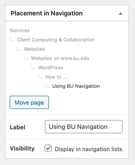 screenshot of placement in navigation settings box
