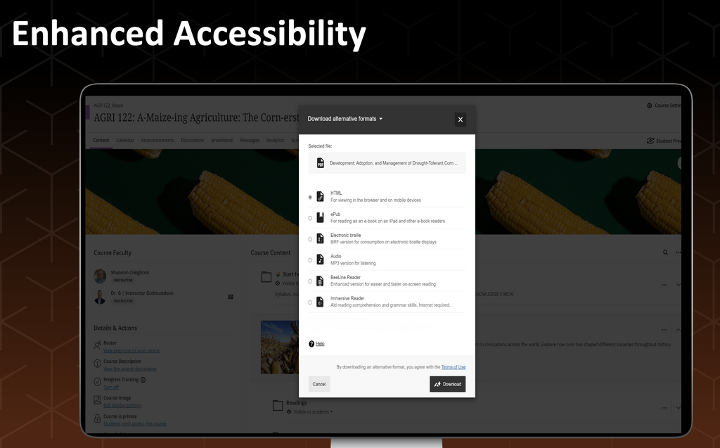 Screenshot of Blackboard Ally alternative format download options
