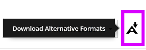 Download Alternative Formats icon
