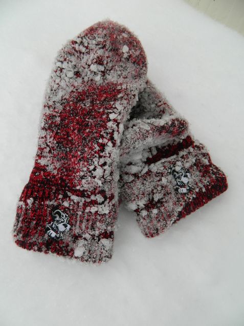 BU Mittens at Linda's house