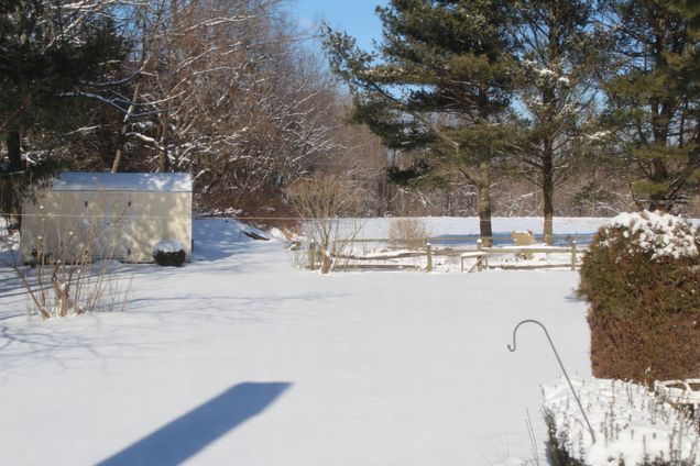 Sean Pfeiffer's backyard in New Jersey