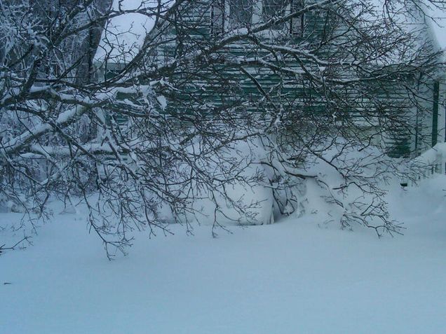 Joe S - their cars are somewhere under that tree