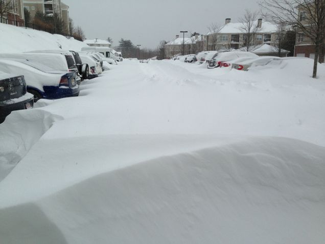 Greg C in Waltham - 1