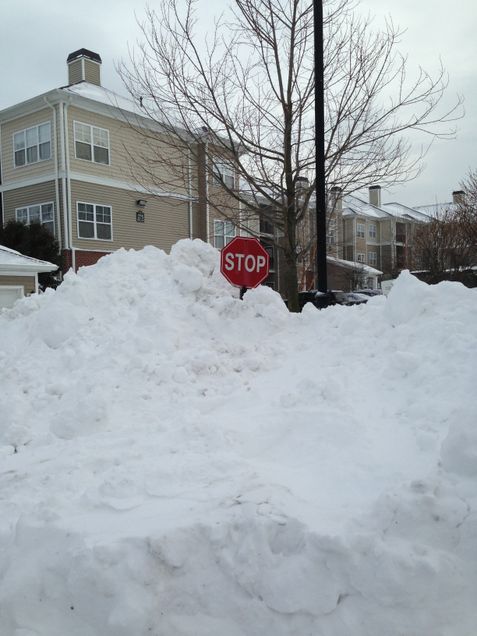 Greg C in Waltham - 2