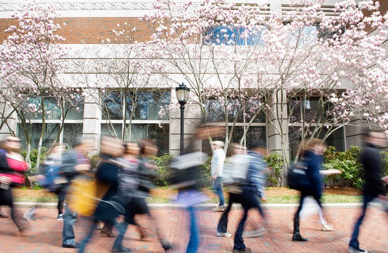 Blurred people walking past a building with pink flowering trees.