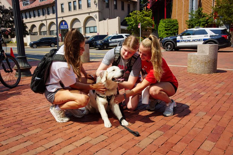 Three young women petting a white dog on a red brick sidewalk with police cars in the background.