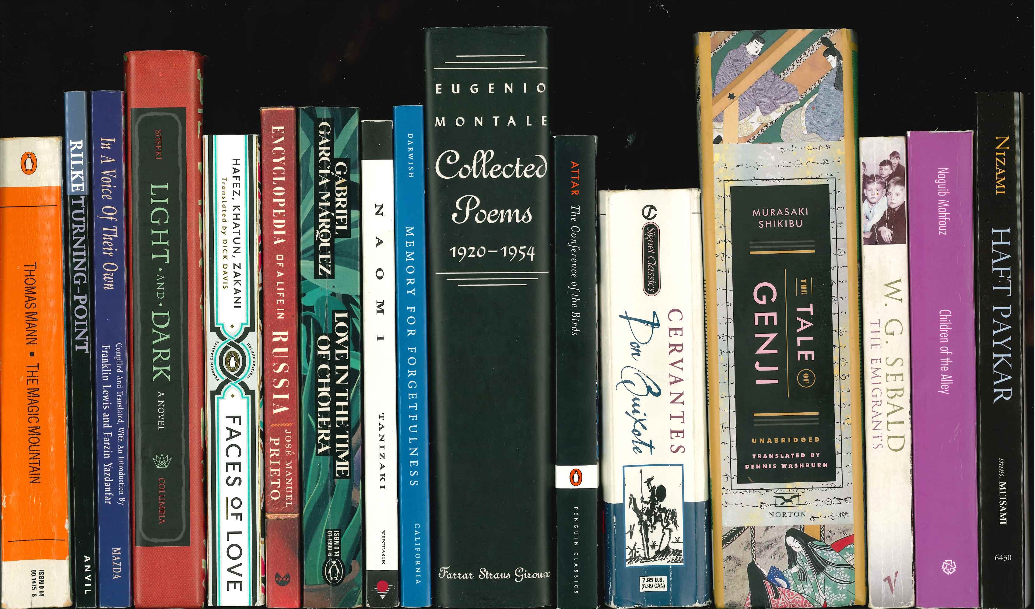 Shelf of books in translation.