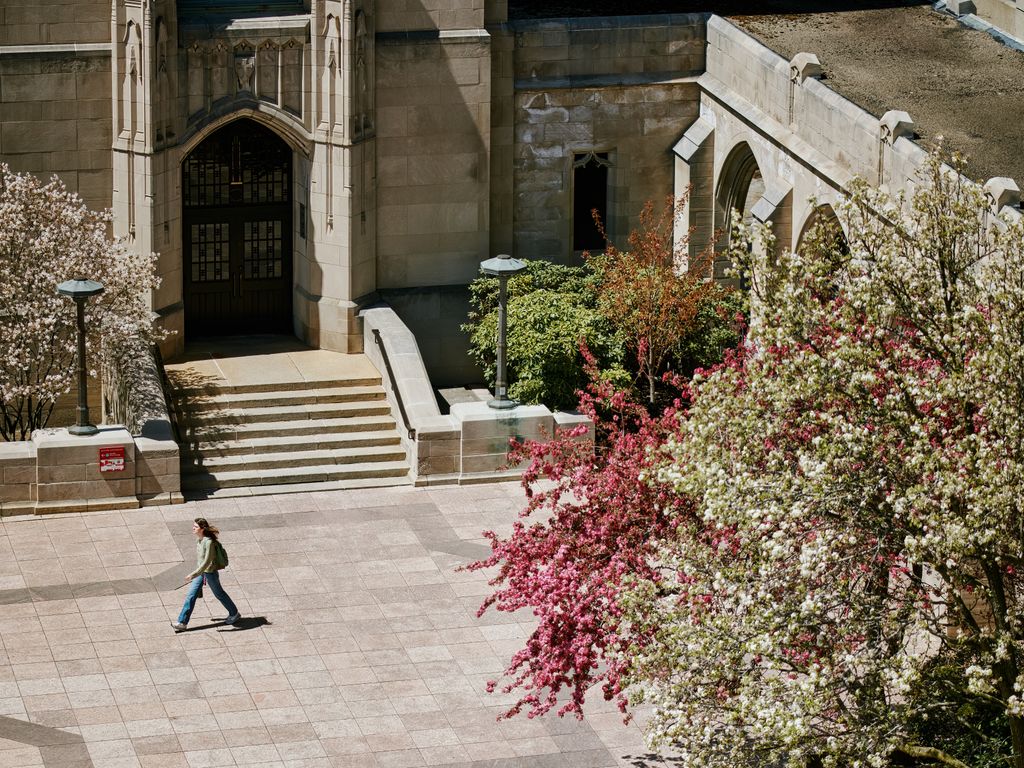 Student crosses Marsh Plaza.
