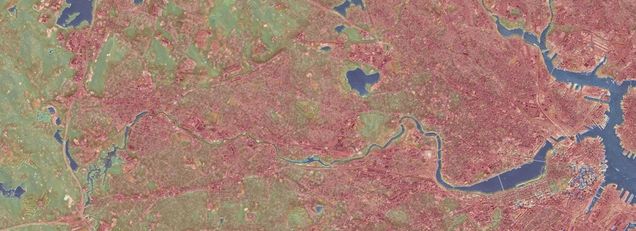 Land Surface Temperature