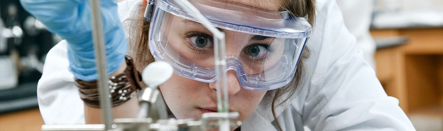 undergraduate research opportunities bu