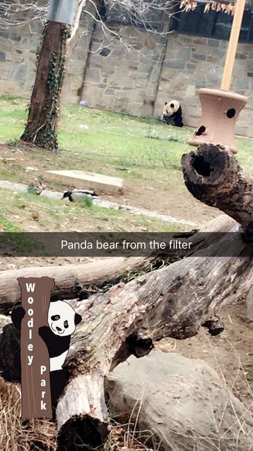 Not Bei Bei.