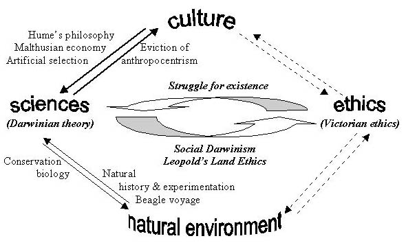 20th Wcp The Dialectical Links Between Environmental