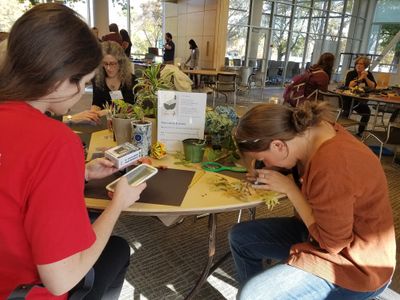 Shows three people sitting around a table doing a science activity 