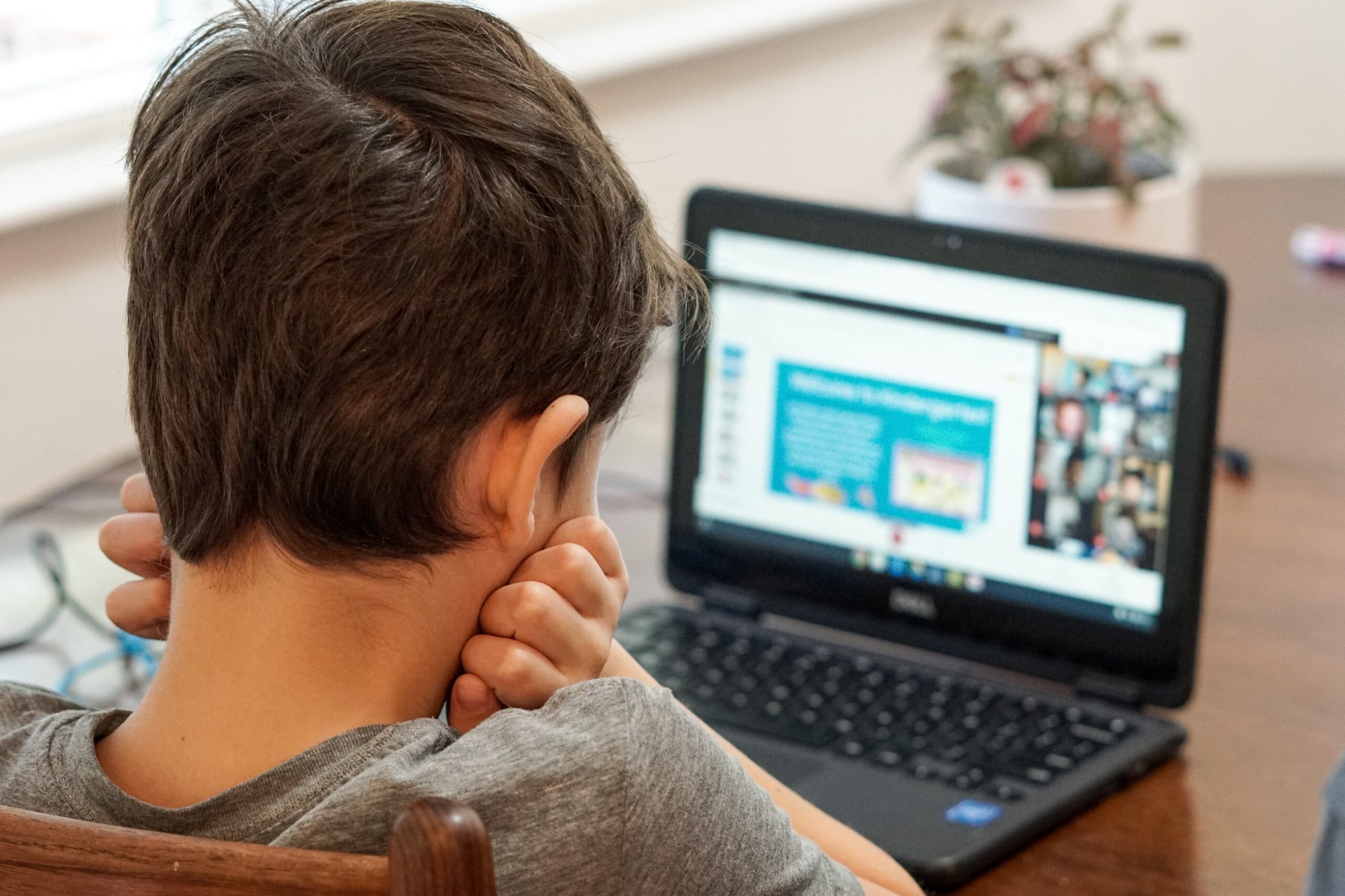 A boy sits at a computer