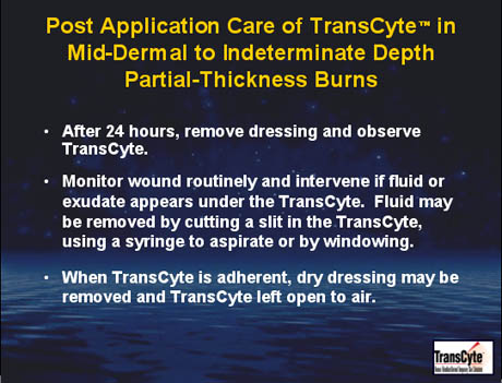 Post application care of TransCyte in mid-dermal to indeterminate depth partial-thickness burns
