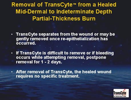 Removal of TransCyte from a healed mid-dermal to indeterminate depth partial-thickness burns