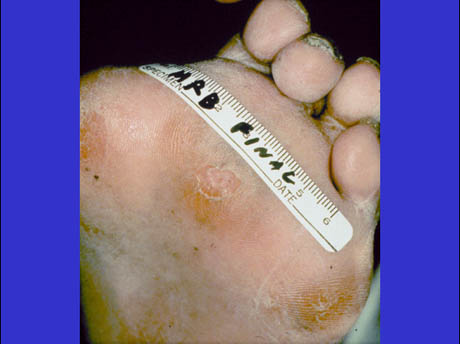 Picture 09-Reganex-Final